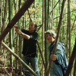 Atsuya Okuda and Jean Mihell harvesting bamboo in Nagano