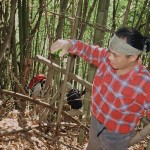 Alcvin giving an offering of sake to the bamboo spirits of the grove before harvesting