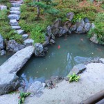 Miyajima Koi Pond